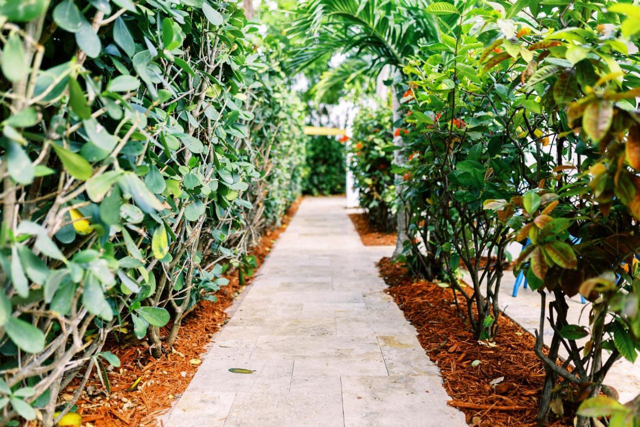 Apartament Casa Cordova Fort Lauderdale Zewnętrze zdjęcie